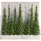 indoor vertical green wall garden01