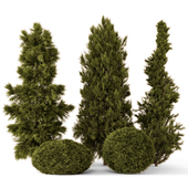 Outdoor Plants Pine Bush and Tree -Bush Set 1802