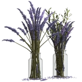 Bouquets of lavender and branches
