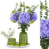 Indoor Plant Set 47