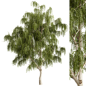 Tree Set 01