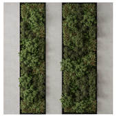 Vertical Garden - Green Wall 94