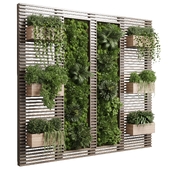 plants set partition in wooden frame - Vertical moss graden wall decor set 69