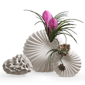 Shells vases from CornerDesign