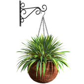 Hanging Basket Flowerpot Rattan Pot with Decorative Plant