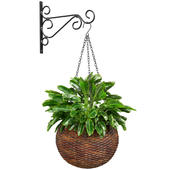 Hanging basket flowerpot rattan pot with decorative fern