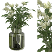 Indoor Plant Set 52