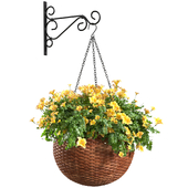 Hanging basket flowerpot rattan pot with yellow flowers. Bracket for hanging plants.