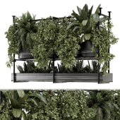 Indoor Hanging Plants in Metal Box - Set 1837