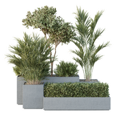 HQ Tree and bush garden box outdoor VOL 28