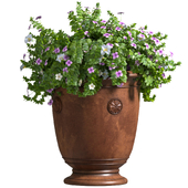 A flower bed in a classic vase, a pot, a flowerpot for decoration.