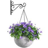 Hanging basket, flowerpot, rattan pot with flowers. Bracket for hanging plants.