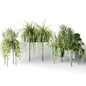 Indoor plants in chrome pots - Vray