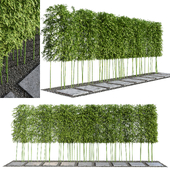 Modern Courtyard 03 | PBR | 4k | Bamboo Path