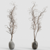 Branches in vases 30