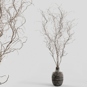 Branches in vases 31