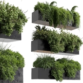 wall plant -  hanging plants collection Indoor plant 446 concrete dirt vase corona