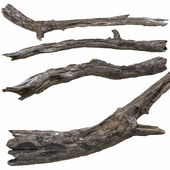 Log, old driftwood