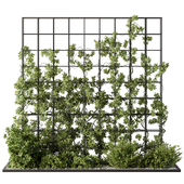 Vertical Garden Partiton - Set 100