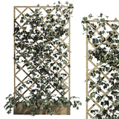 indoor vertical green wall garden 001