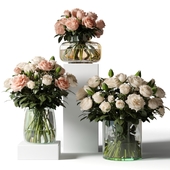Roses in glass vases