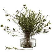 Bouquet of olive branches