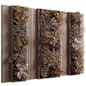 Plants Autumn And Dried Set Partition In Wooden Frame - Vertical Graden 72 corona