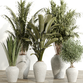 Indoor Plant Set 091