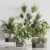 Metal Boxes And Indoor Plant Set 127