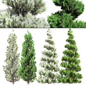 Green and snow Dusted Christmas pine trees pack