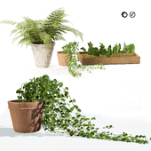 3D Pot Plant Trio