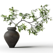 Branch with green leaves in a black vase