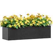 Window box pot with yellow flowers. Balcony container garden.Hanging Flower Planter
