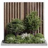 Wall design and Outdoor Plants