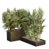 HQ Tree and bush garden box outdoor  VOL 44