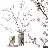 Decorative set with blossoming branches
