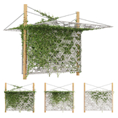 outdoor landscape shades with climber ivy plant