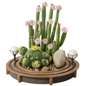 Cactus Garden Set