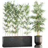 Indoor Plant Set 71