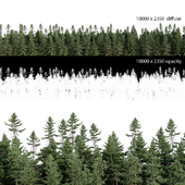 Panorama of a coniferous forest with opacity map