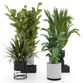 Indoor Plants Set 4