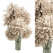 Bouquet plant dry hogweed in glass vase 46