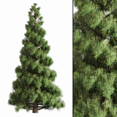 Pine Tree Set_01