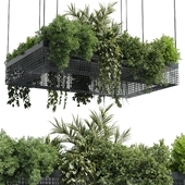 hanging plants - indoor plant set 447 Rectangle pendant pot vray