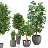 treez plants set 32
