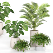 treez plants set 34