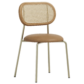 Rattan Dining Chair Stainless Steel