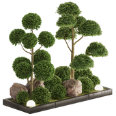 Garden Tapiary Pine Tree And Shurb 18
