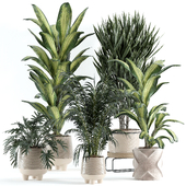 indoor plant 130