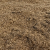 dried grass